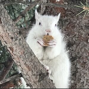 Meet your Posher, Wendy